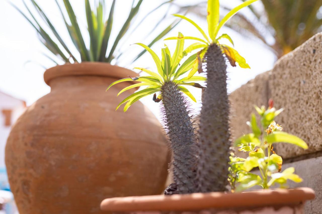 Villa Limón - Ocean View - BBQ - Garden - Terrace - Free Wifi - Child&Pet-Friendly - 2 bedrooms - 6 people Porís de Abona Exterior foto